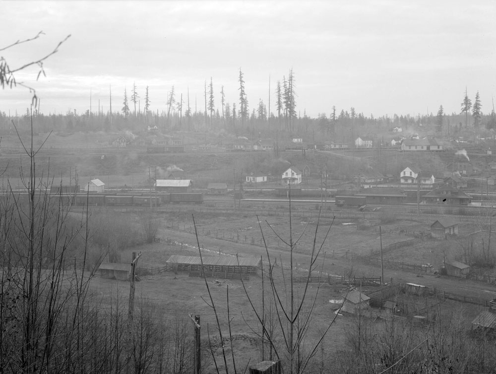 View Across Abbotsford