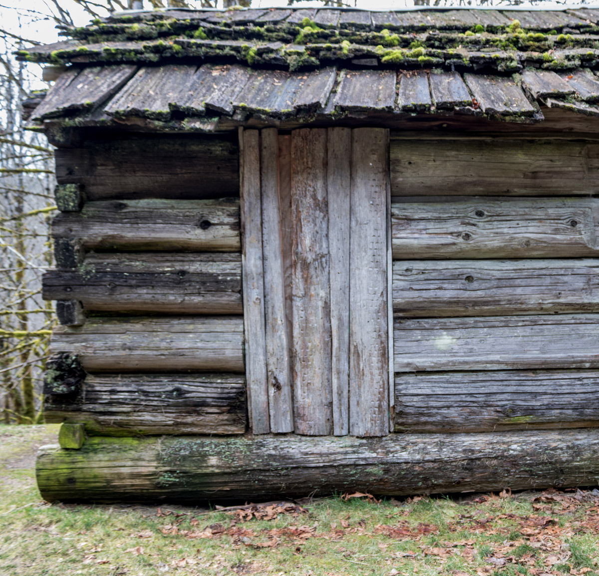 Jumbo's Cabin