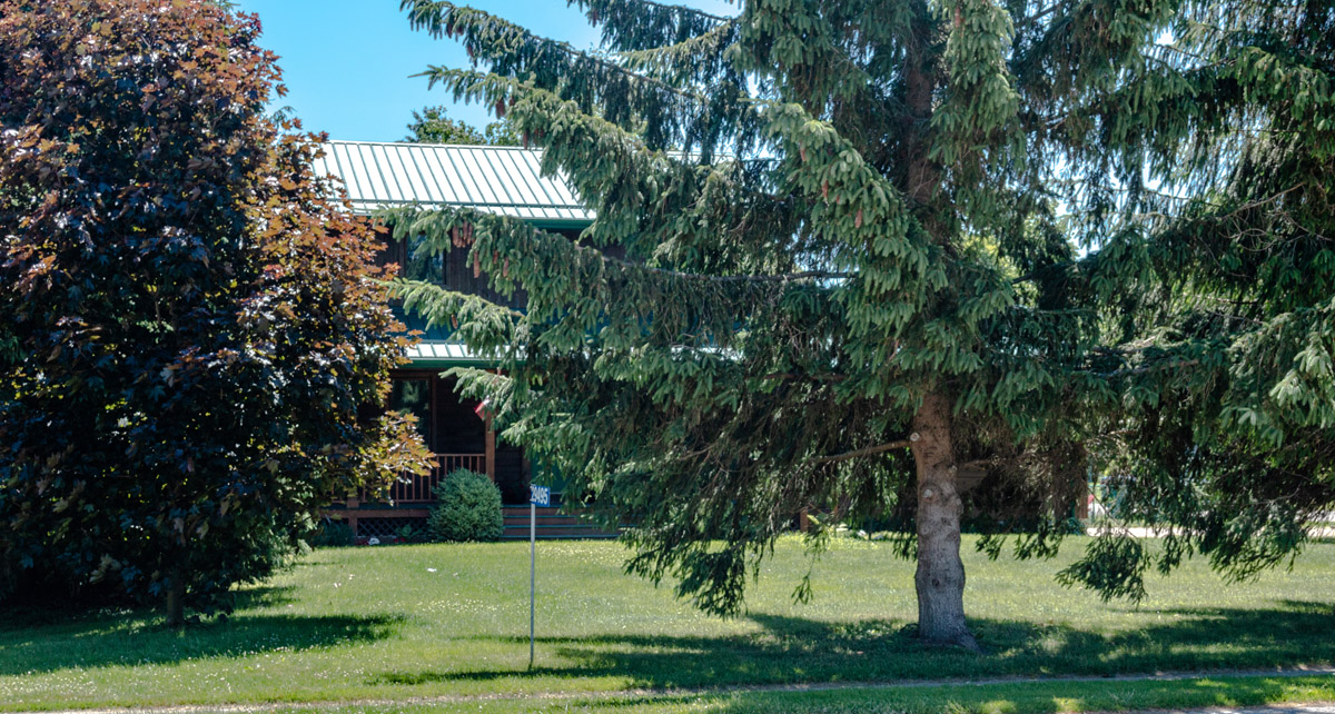 Wallacetown Cheese Factory