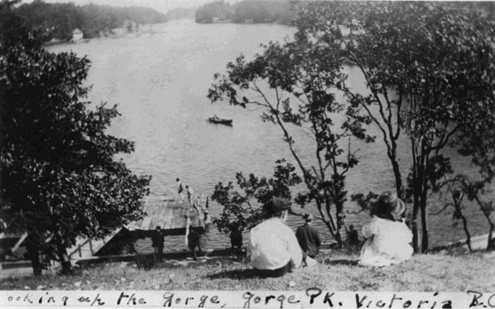 Children looking on the Gorge