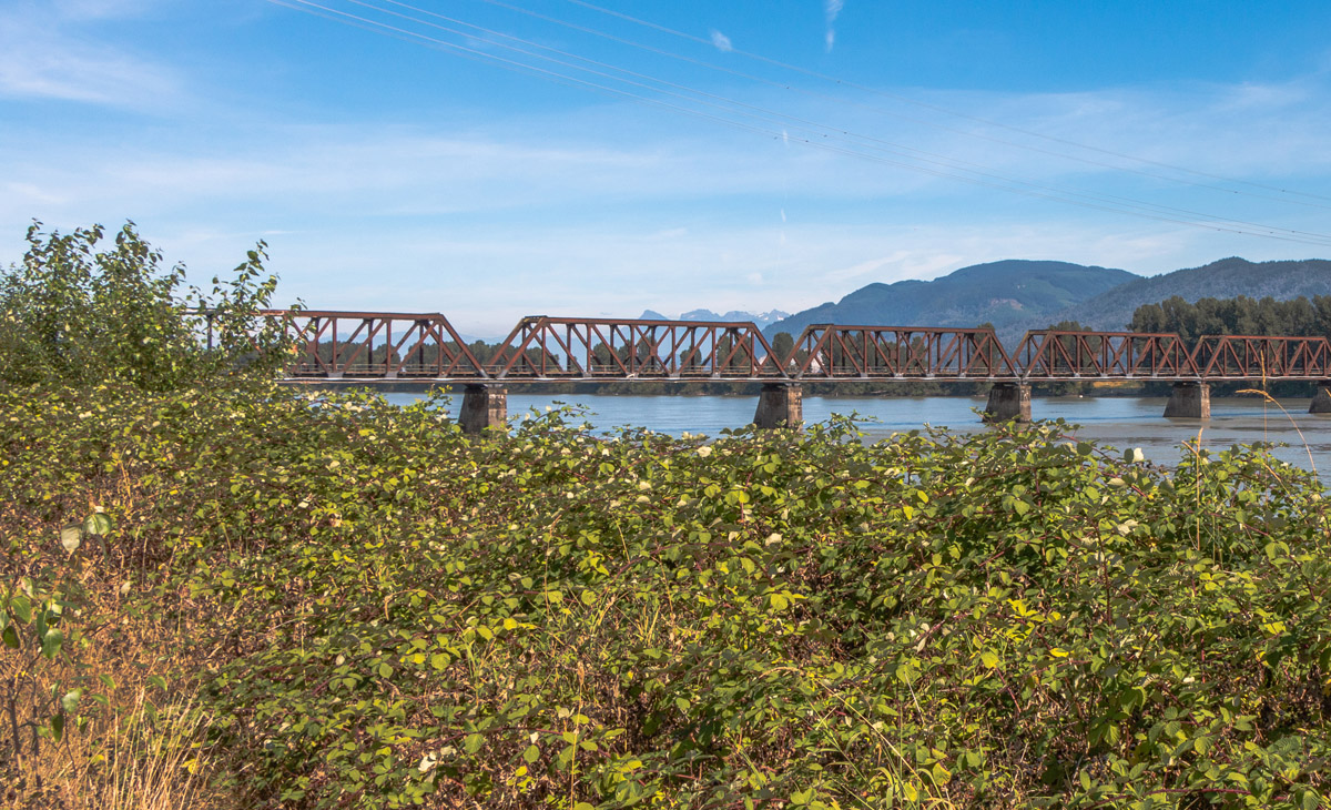 Mission CPR Bridge