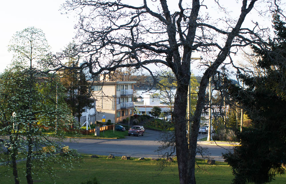 Newcastle from Knob Hill