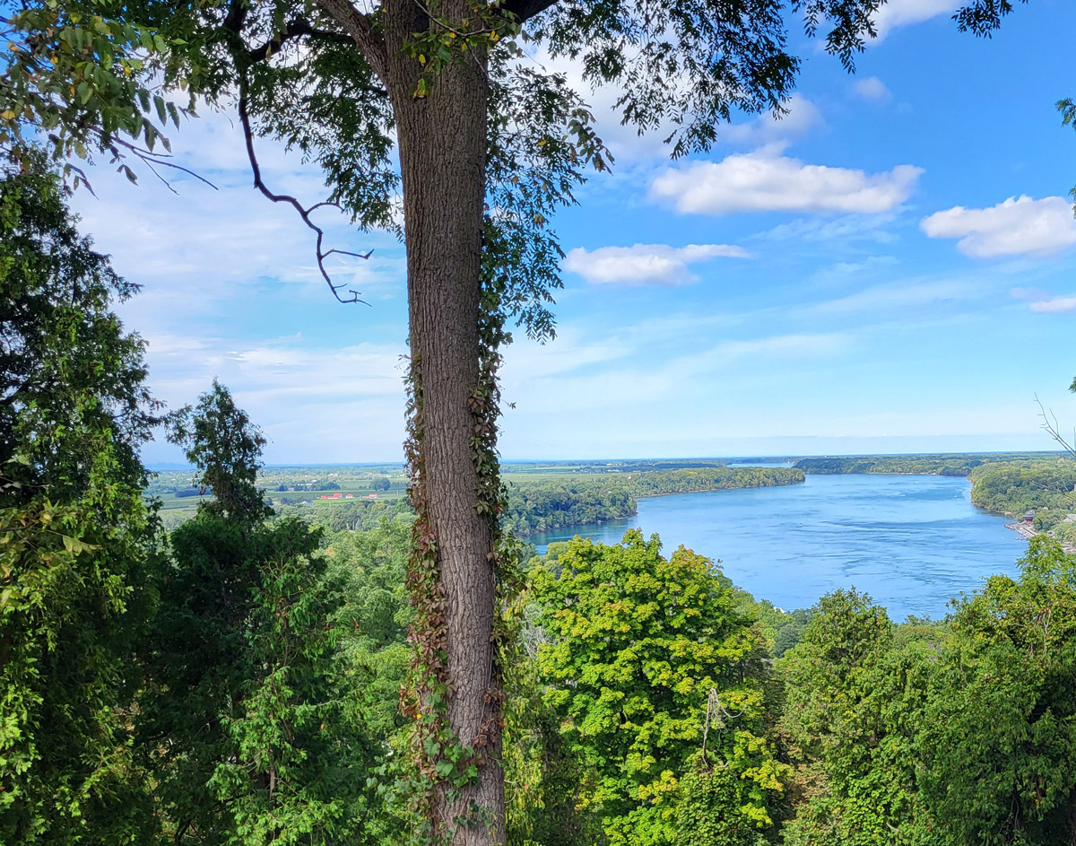 View from the Heights