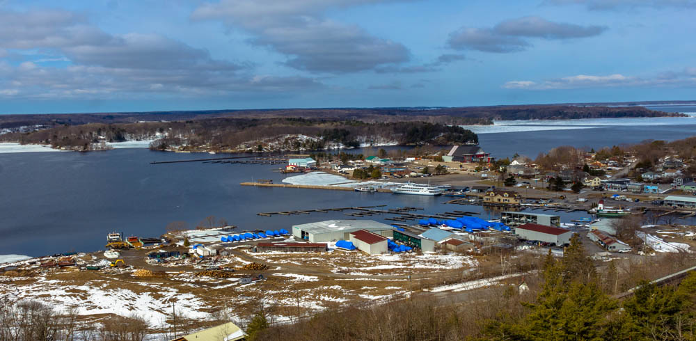 Harbour View