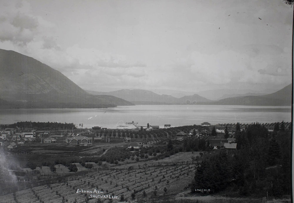 View Across Orchards