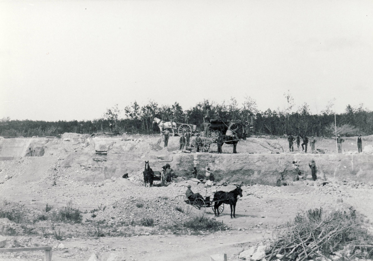 Horses in the Quarry