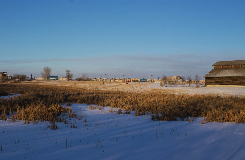 The Frozen Pond