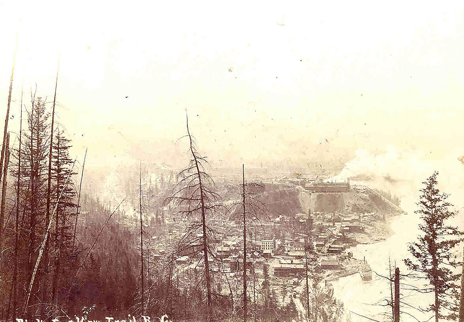 Earliest Bird's Eye View