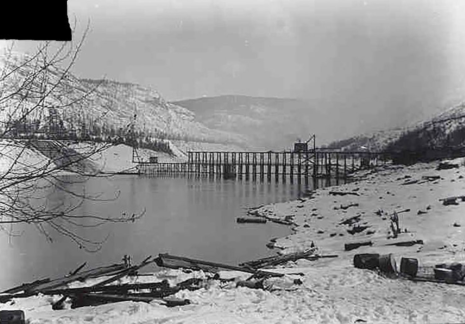 Building the Trail Bridge