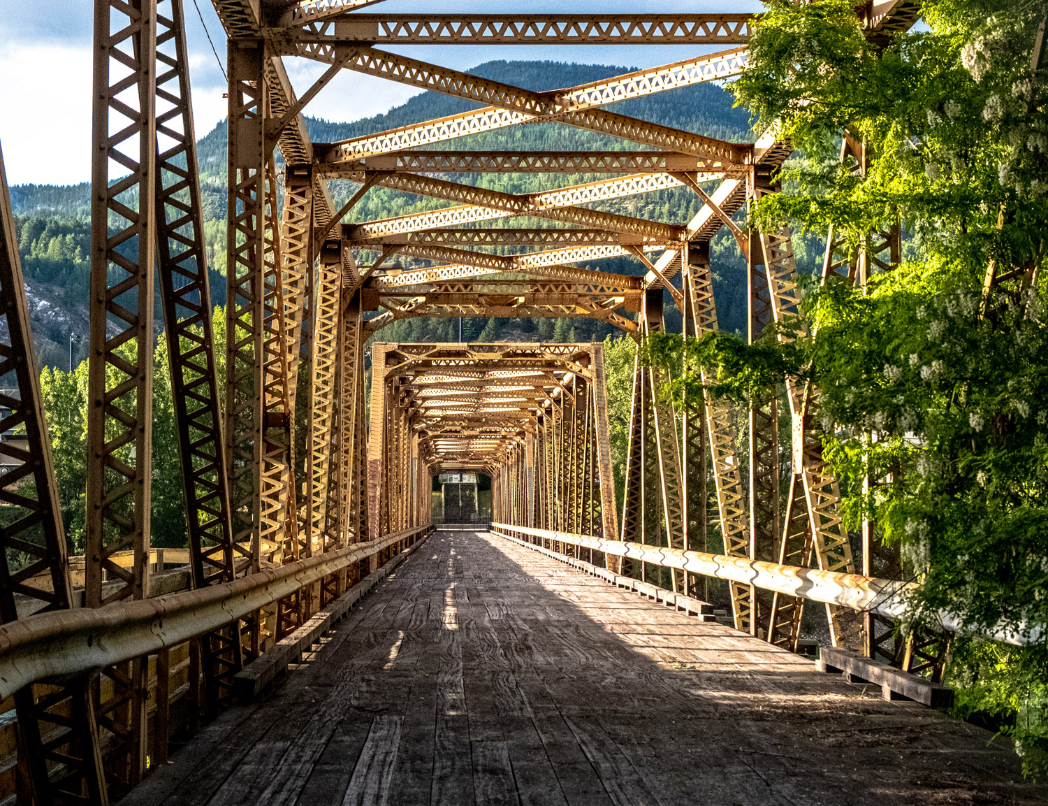 The Bridge Builders