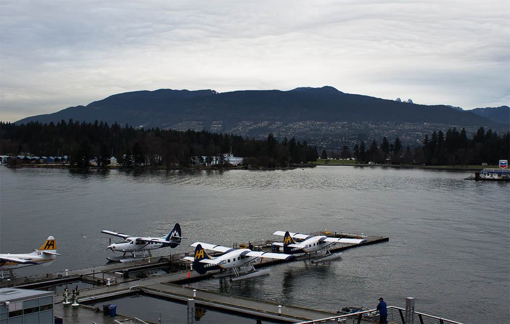 Misty Coal Harbour