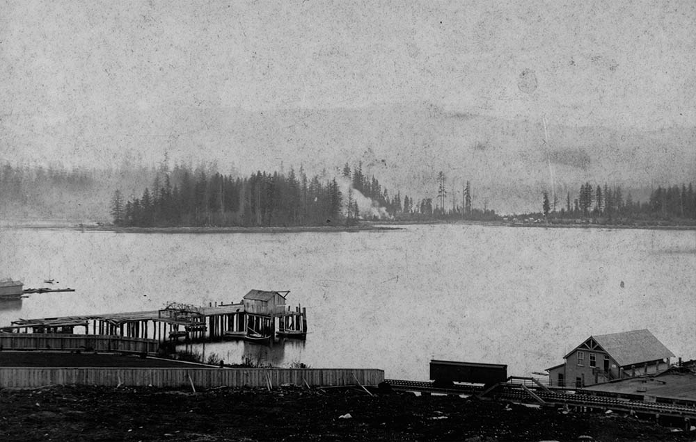 Misty Coal Harbour