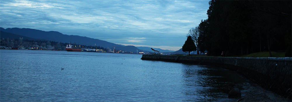 Narrows at Low Tide