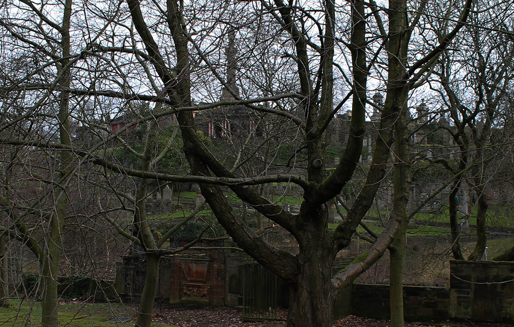 Glasgow Necropolis