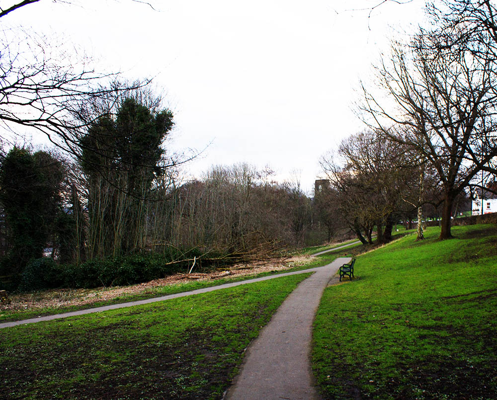 Kirkstall Abbey From Afar