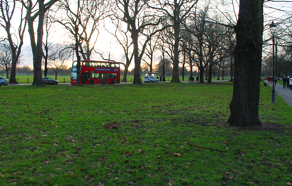 Photographer in Clapham