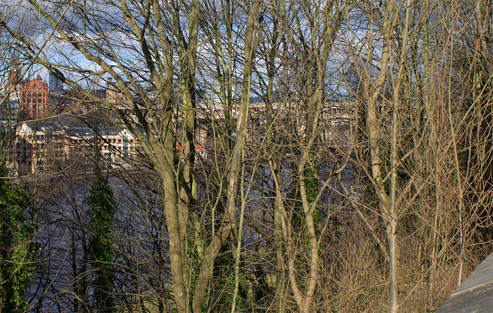 High Level Bridge From Afar