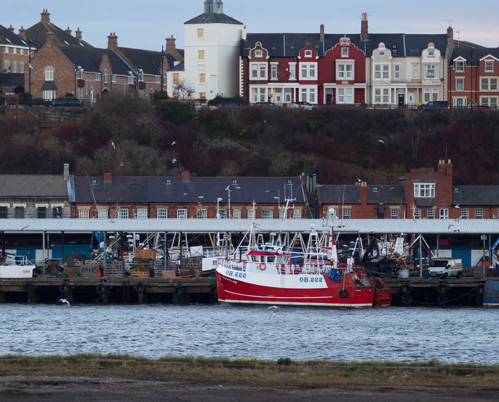 Fishing Fleet