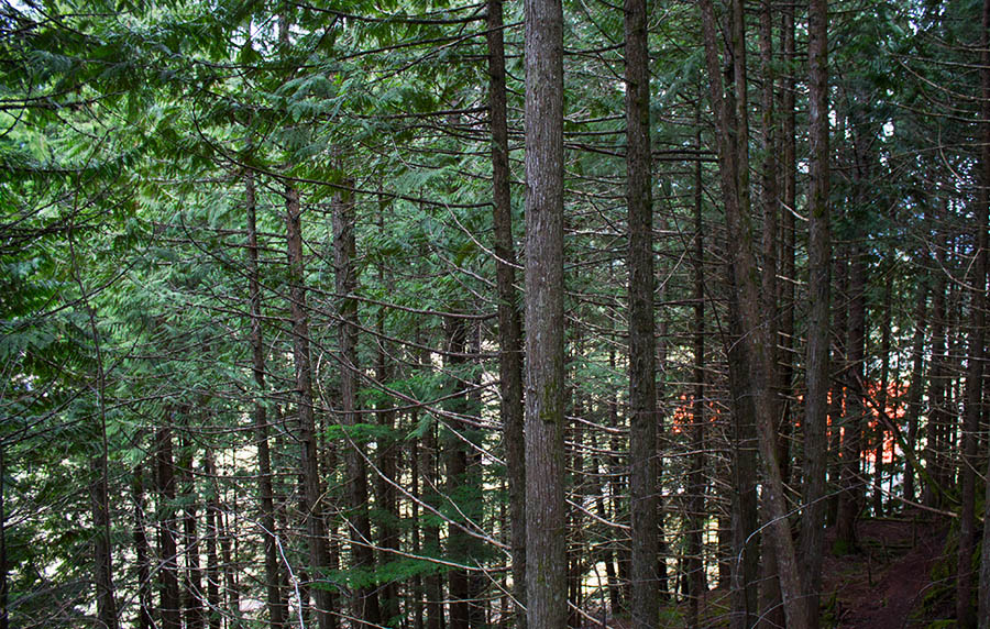 Overlooking the Camp