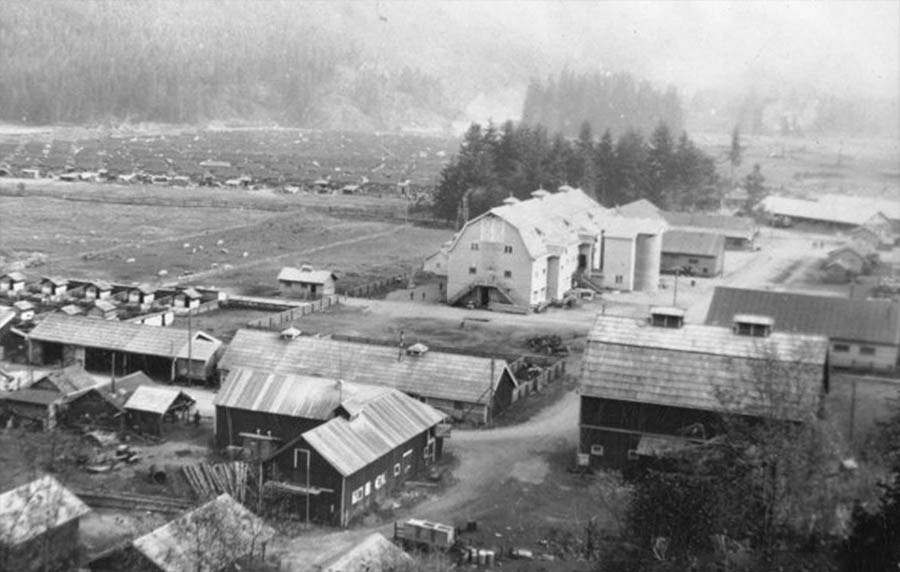 Overlooking the Camp