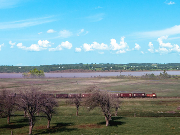 Freight Train at Hillsborough.